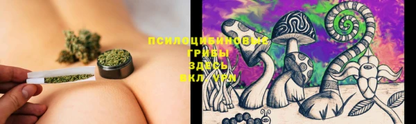 герыч Алзамай