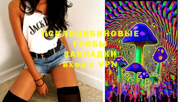 ПСИЛОЦИБИНОВЫЕ ГРИБЫ Алексин