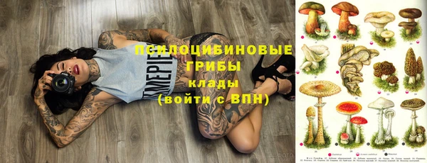 ПСИЛОЦИБИНОВЫЕ ГРИБЫ Алексин