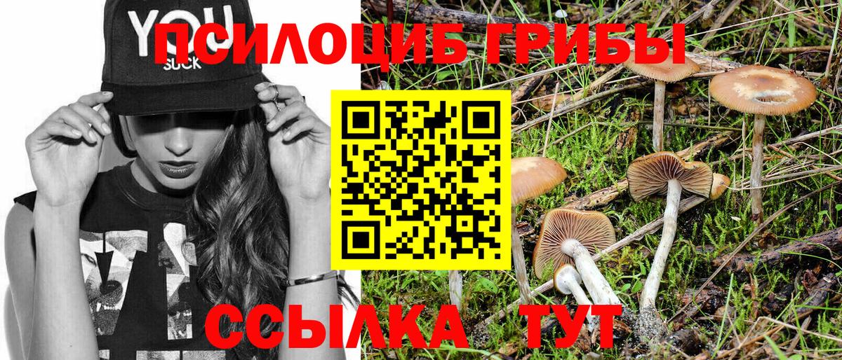 Псилоцибиновые грибы Psilocybe  Вход с VPN  Кызыл 